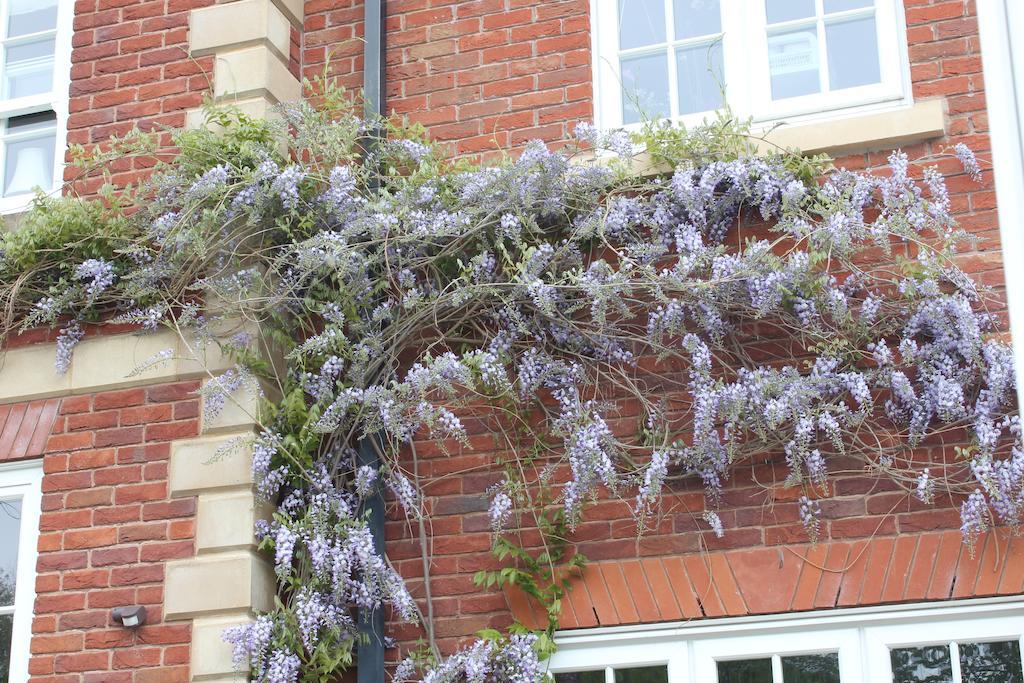 Austons Down Farm B&B Claverdon Екстериор снимка